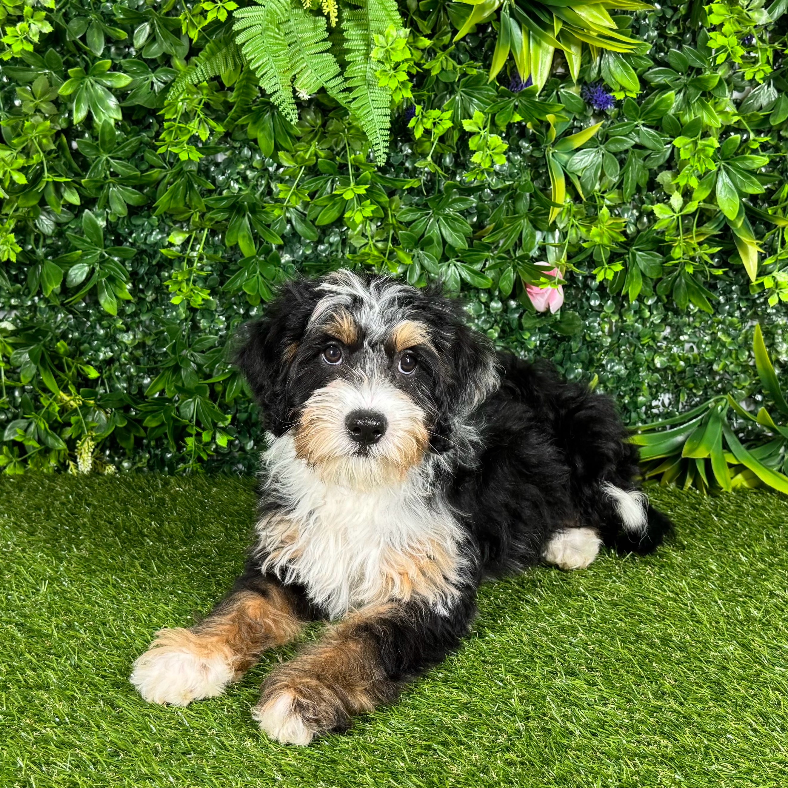 Mason